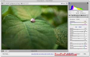 Adobe Camera Raw 16.5 Crack + Activation Key Download [Latest]